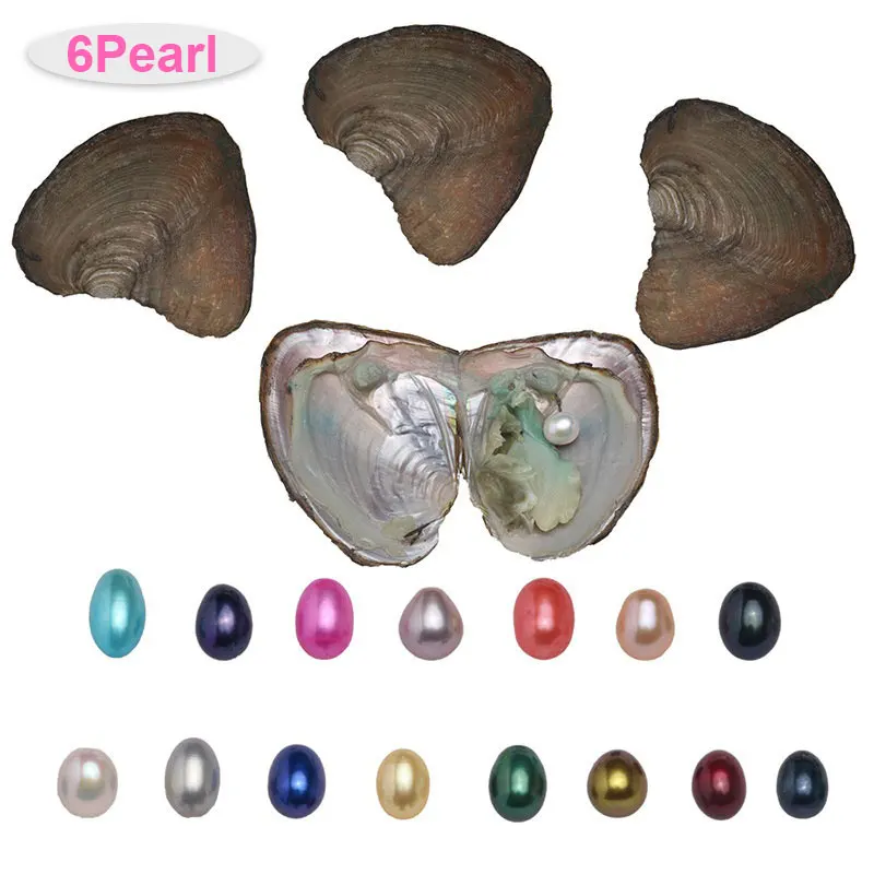 6 шт. в виде раковины Wish Pearl one Oyster в вакуумной упаковке, искусственный жемчуг в случайном порядке, размер 6-7 мм, женский подарок на день рождения, свадьбу