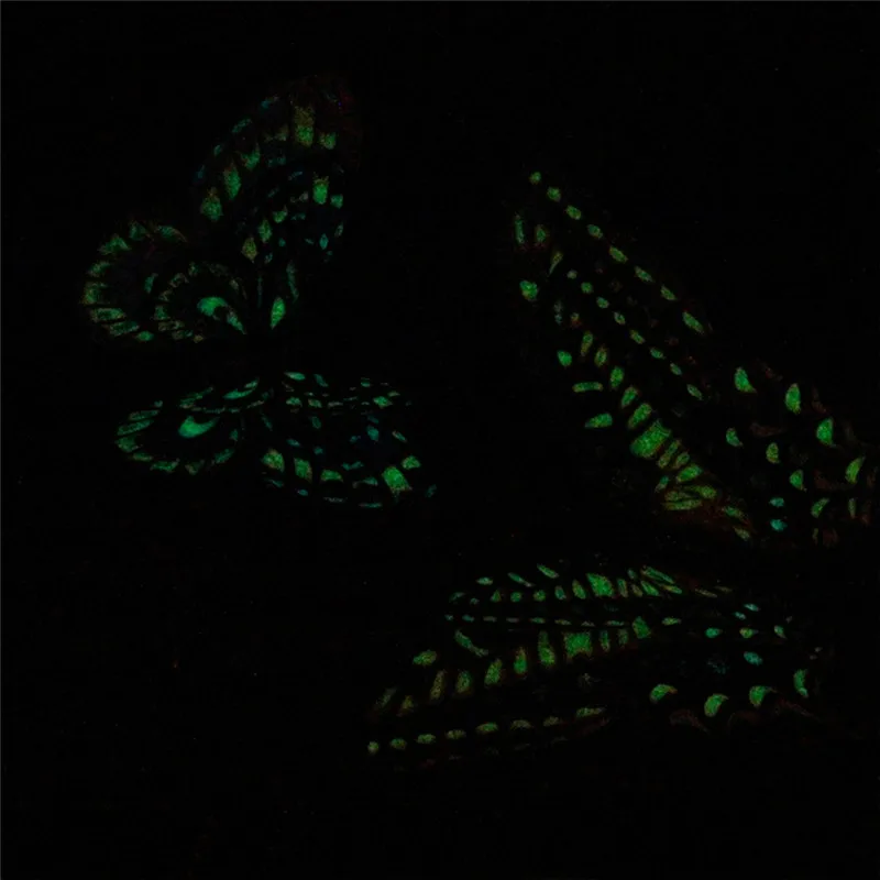 12 шт. световой светятся в темноте бабочка Дизайн наклейка Магнитная магнит