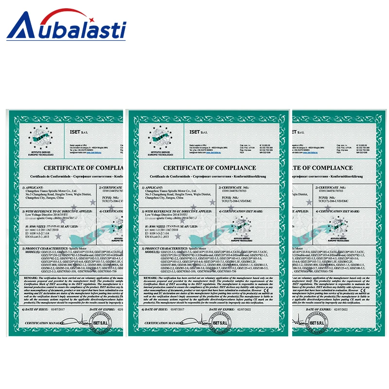 Aubalasti GDZ-65-800A шпинделя с водяным охлаждением 800 Вт мотор шпинделя 65X195 мм диаметр 65 мм высокоскоростной шпиндель для станков с ЧПУ
