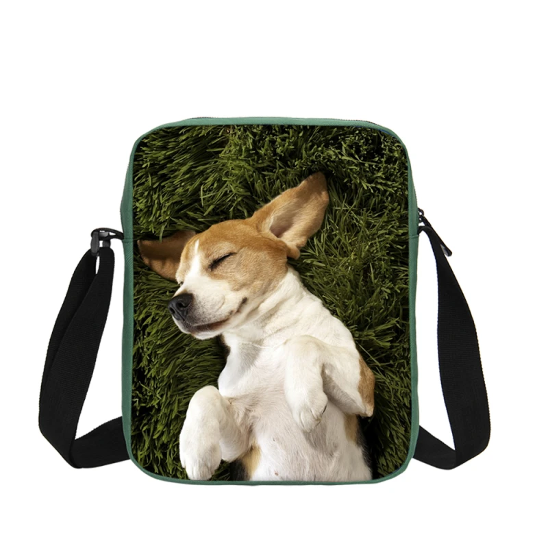 Hynes Eagle Small Shoulder Flap Bags For Kids 3D Animal Prints Crossbody Oxford Zipper Bag Handbags Casual Messenger | Багаж и сумки