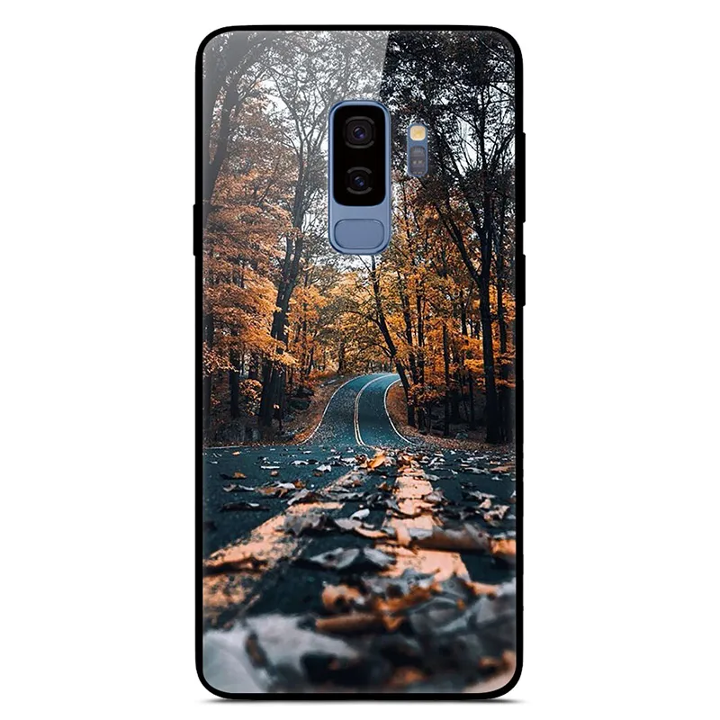 14 Чехол для samsung S9 блестящий чехол Стекло жесткая задняя крышка корпуса для samsung Galaxy S9 плюс чехол мягкий TPU бампер S9+ S9Plus Hoesjes - Цвет: 14