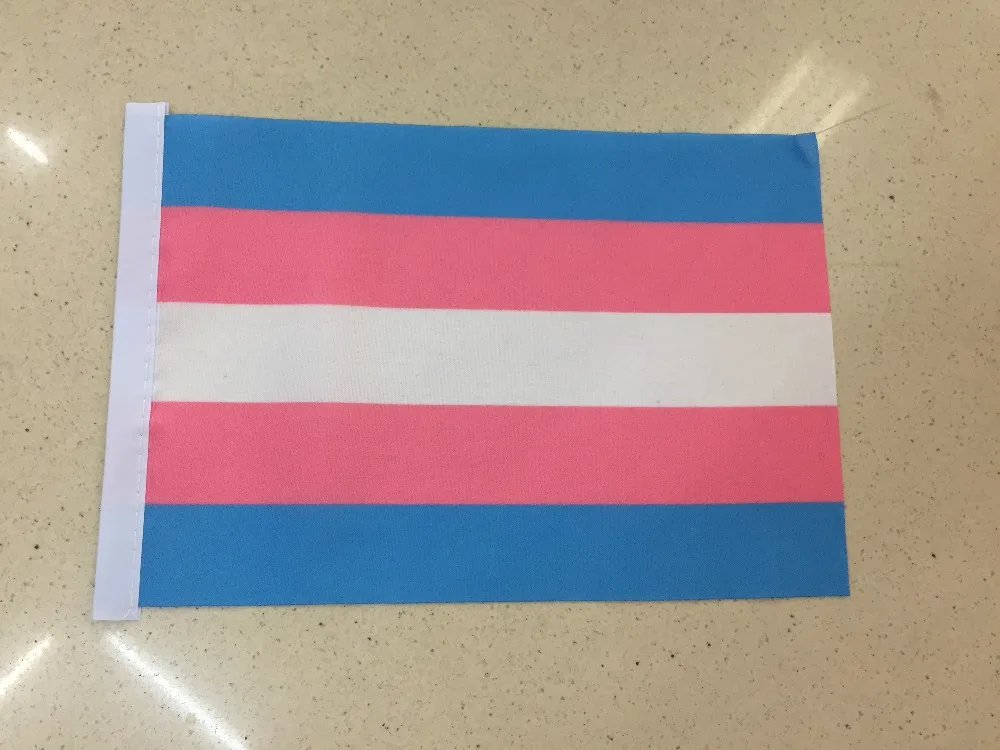 

Флаги и баннеры радужные 50 шт./лот 14 х21 см, флаг ЛГБТ для лесбиянок, геев, прайдов, новый цветной трансгендер из полиэстера, флаг ручной волны