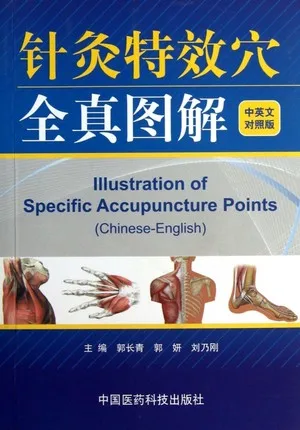 Иллюстрация специальных акупунктурных точек. Язык: китайский английский.