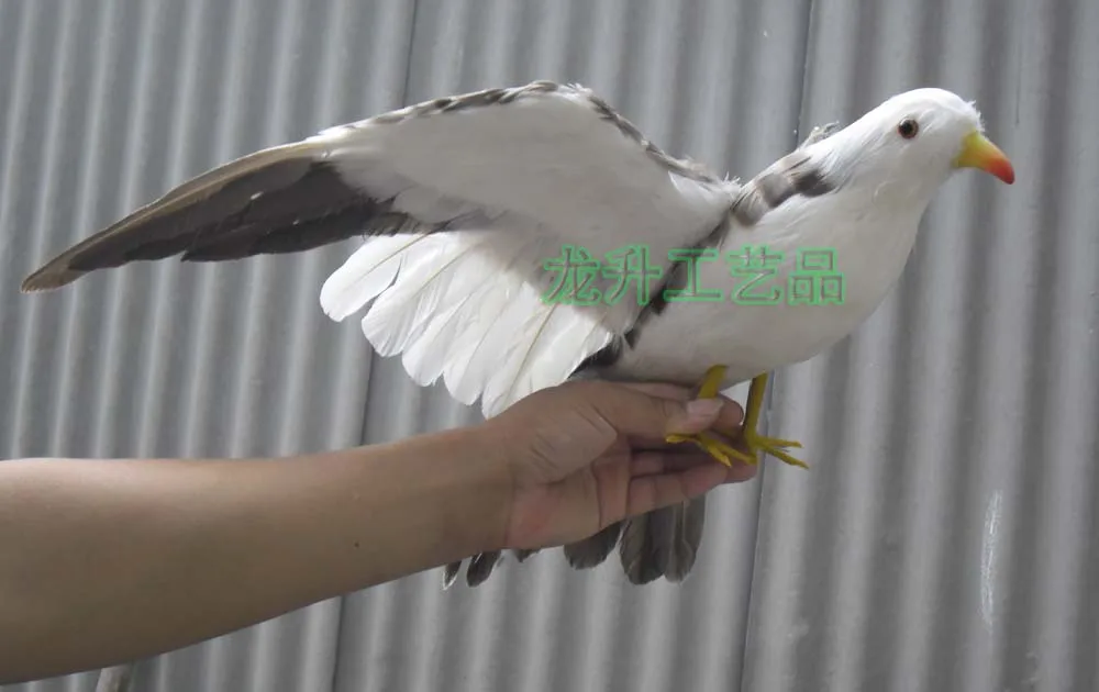 

Большой размер, 38x60 см, имитация крыльев seagul, модель игрушки, пластиковая пена и перья чайки, реквизит, подарок для украшения дома w5594