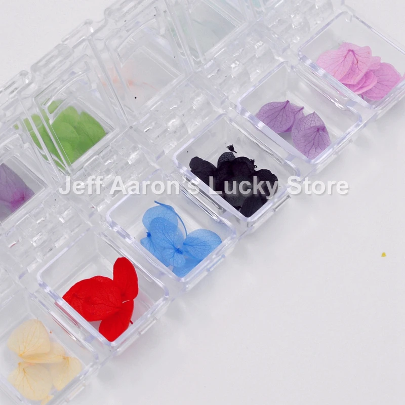 Сушеный Цветок для искусственных ногтей 12 цветов | Красота и здоровье