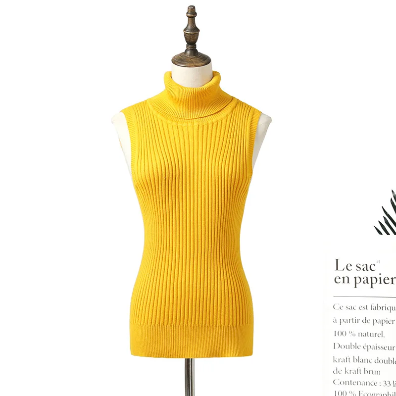 Turtle Neck Sweater Women 2018 Autumn Winter Sleeveless Knitted Vest Clothes Womens Fashion Tops Pullover | Женская одежда
