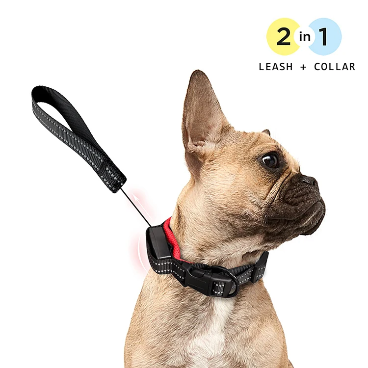 Petshy 2 в 1 ошейники для собак и кошек с выдвижным поводком для собак нейлоновый светоотражающий автоматический телескопический канат для собак и кошек