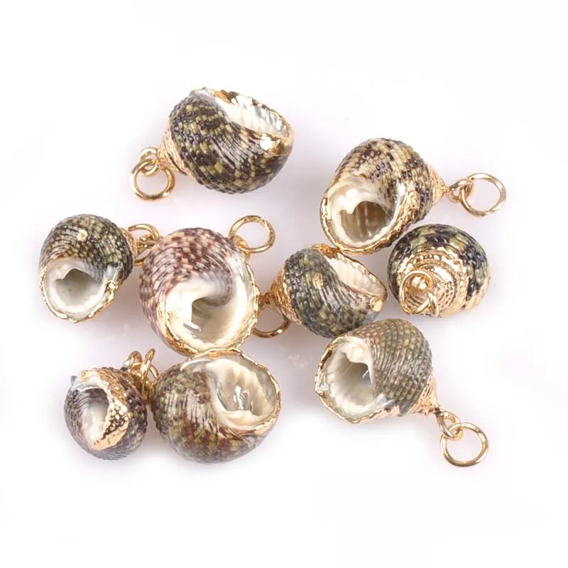 5 шт. натуральный спиральный корпус позолоченные поделки украшения ручной работы