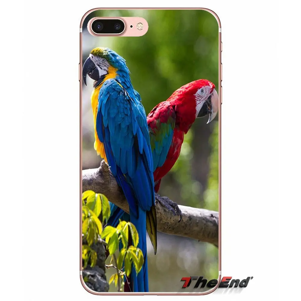 Прозрачный чехол из ТПУ с радужным попугаем для iPhone X 4 4S 5 5S 5C SE 6 6S 7 8 Plus Samsung Galaxy J1 J3