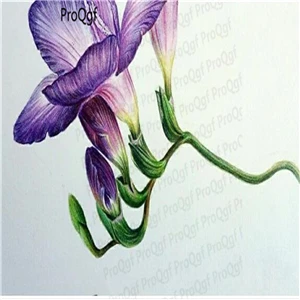 Ngryise 20 шт набор Freesia hybrida