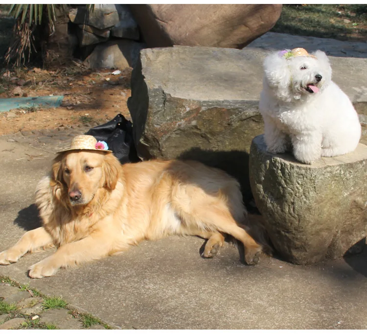 Cute dog straw hat Cap with Adjustable Chin String funny cowboy party costume handmade Dog Grooming hair wedding accessories | Дом и сад