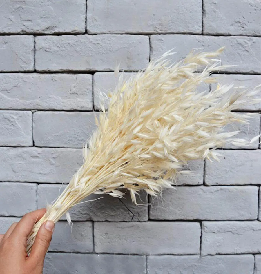 Букет высушенных аванты посевного L. Цветок для рукоделия Подарочный материал