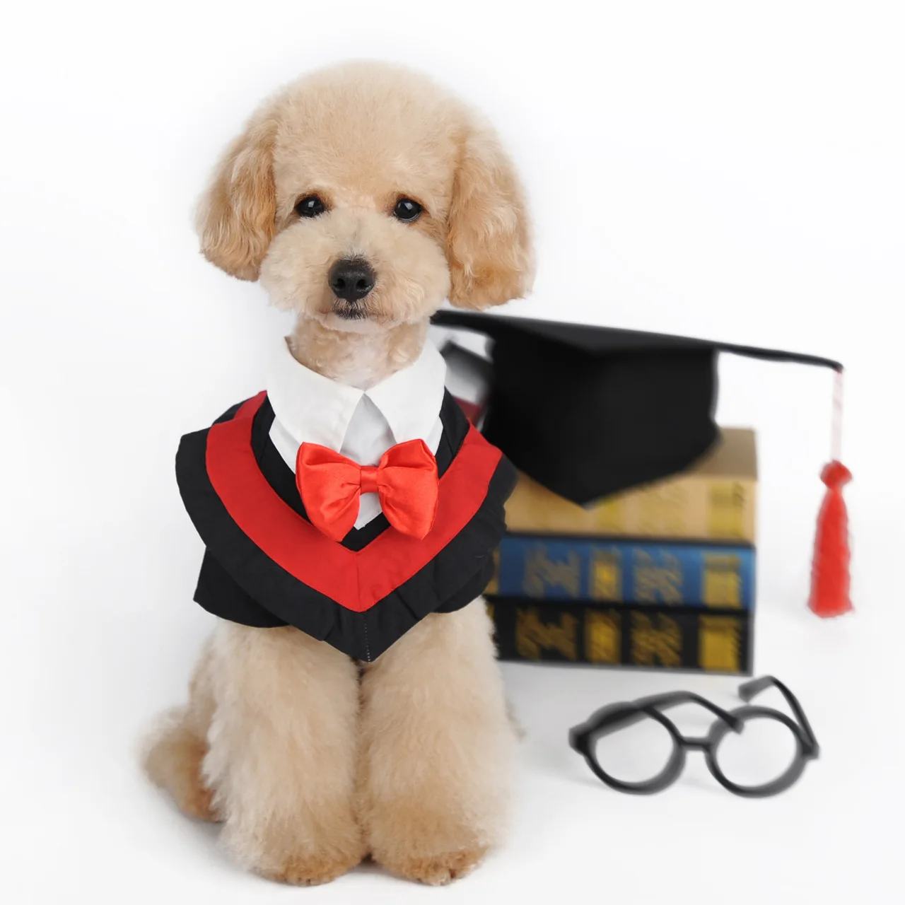 Одежда для маленькой собаки личный охлаждающий Забавный питомец PhD собак одежда