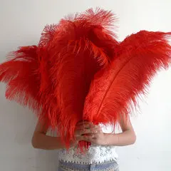 10 шт. декоративные перья страуса 12 14 дюймов 30 35 см|feather ostrich|ostrich fanostrich feather cocktail dress |