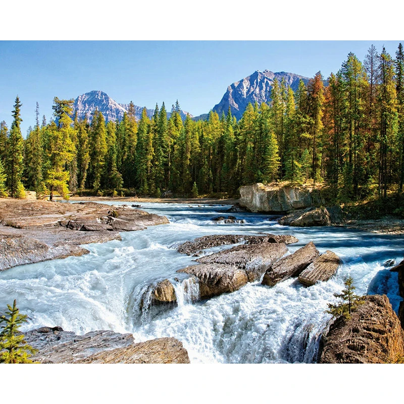 YIKEE алмазная живопись Forest Creek вышивка своими руками полноразмерная картина Y1439 |
