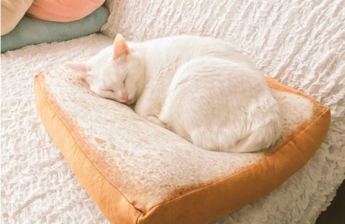 Hot 40*40CM Creative Toasted Bread Pillow Plush Toys Soft White Cushion Kids Birthday Gift Home Bakery Shop Decoration | Игрушки и хобби