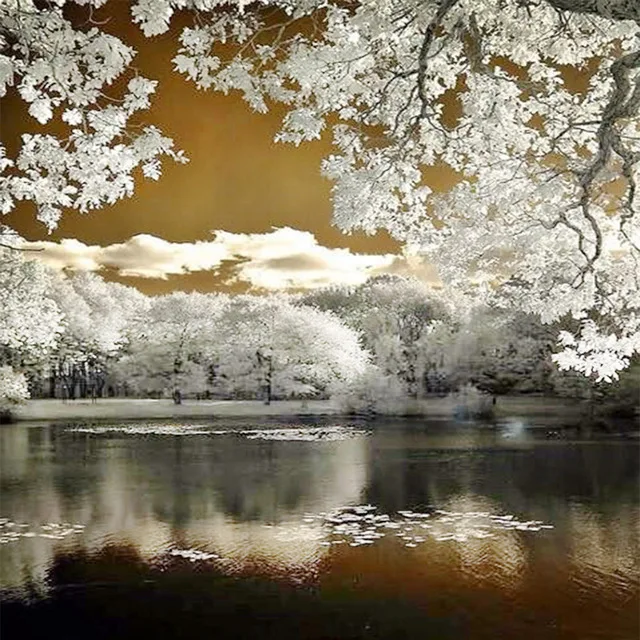 Полноразмерная Алмазная 5D картина сделай сам живопись из кристаллов вышивка