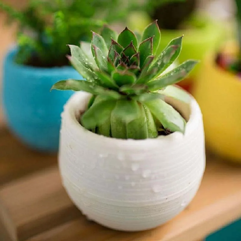 Экологичные полимерные цветочные горшки и для дома офиса настольные украшения