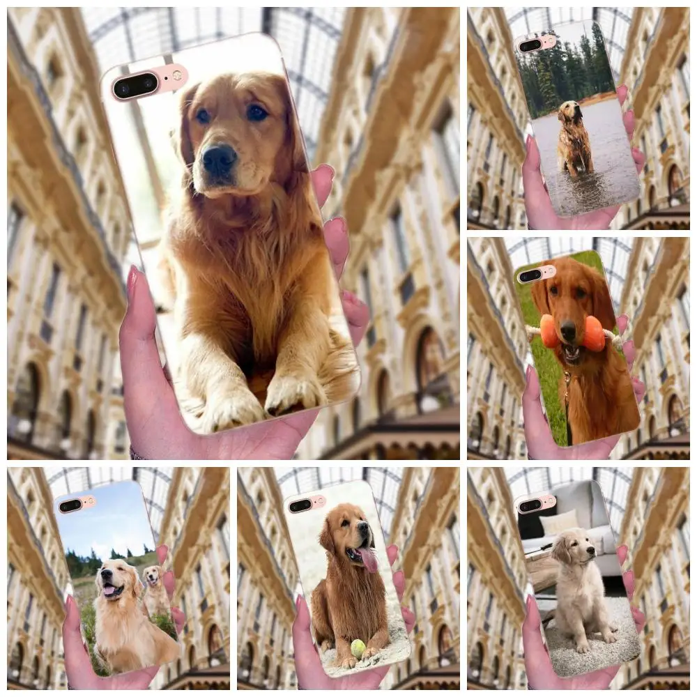 Вызова Box Подходит для породы золотистый ретривер со вставкой из ТПУ телефона с