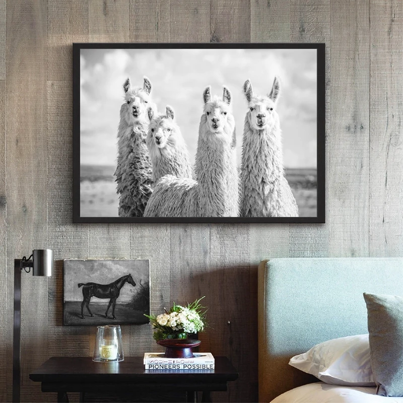 

Cute Animals Llama Poster Canvas Prints Animal Alpaca Black White Photography Painting Pictures Nordic Wall Art Decor