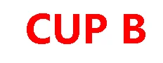 B CUP Вогнутые с круглым дном силиконовые формы груди поддельные грудь треугольник костюм для Трансвестит транссексуалов queen - Цвет: B CUP
