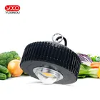 Cree COB CXB3590 CXB 3590 Светодиодная лампа для выращивания растений, 3000k 3500k 5000k 80 Samsung LM561C S6