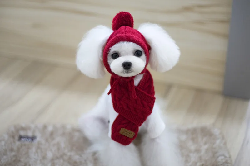 Продается по комплекту! Kawaii домашних животных магазин теплые шерстяные Прекрасный Шапки для собак Регулируемый собака шарф для маленьких и больших домашних котов