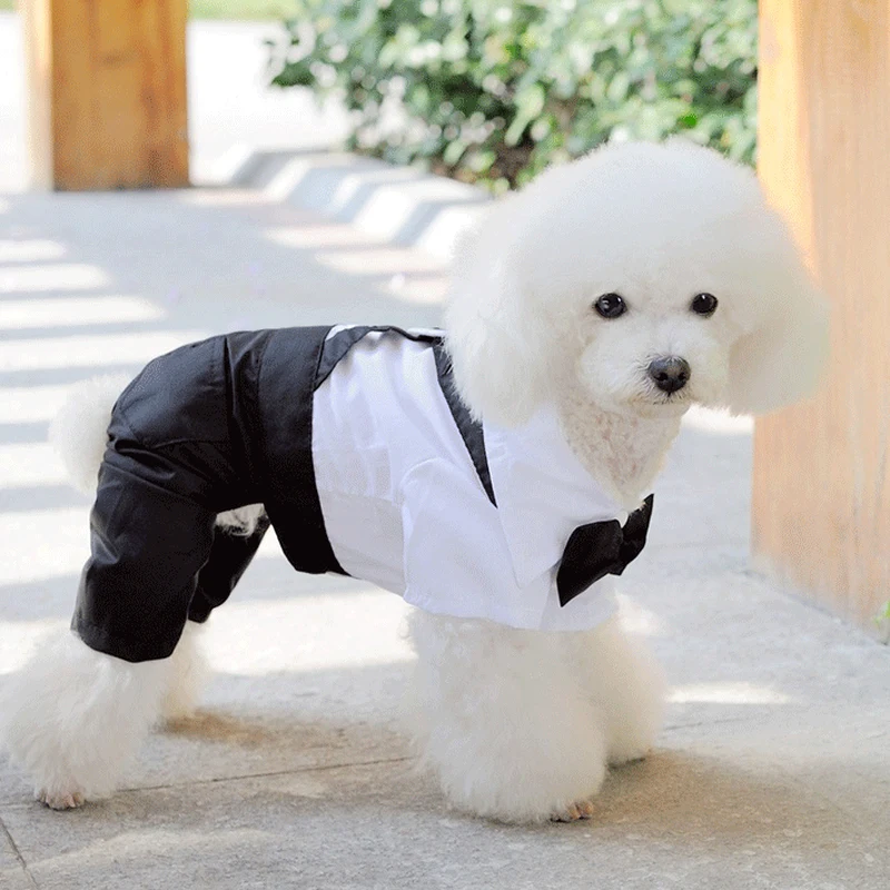 Одежда для питомцев пальто щенков свадебная рубашка в западном стиле с галстуком