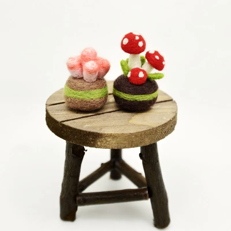 Подарок сделай сам красочное растение суккулент ручной работы шерстяной войлок