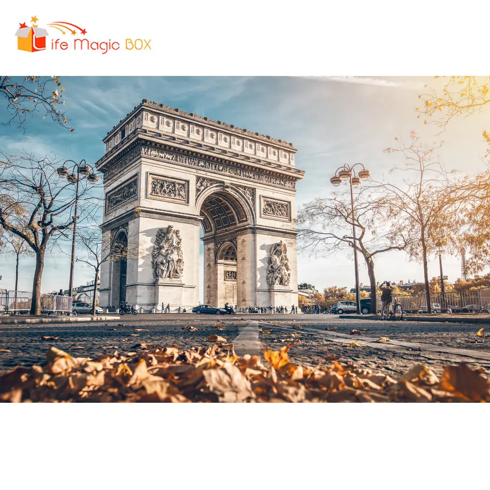 Фон для фотосъемки LIFE MAGIC BOX Париж хромаки свадьба день рождения|Фон фотосъёмки| |