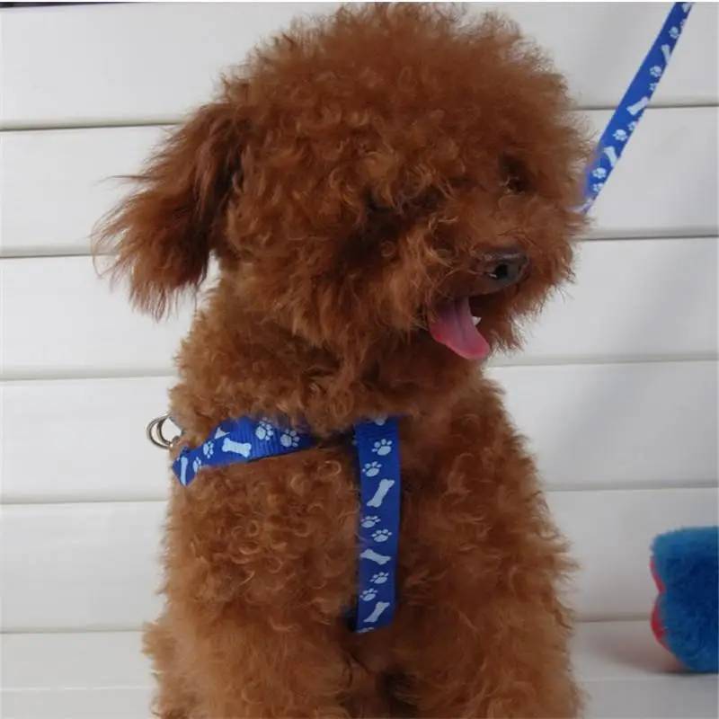 Нейлоновый поводок ожерелье веревка галстук для питомца Тедди собаки щенка