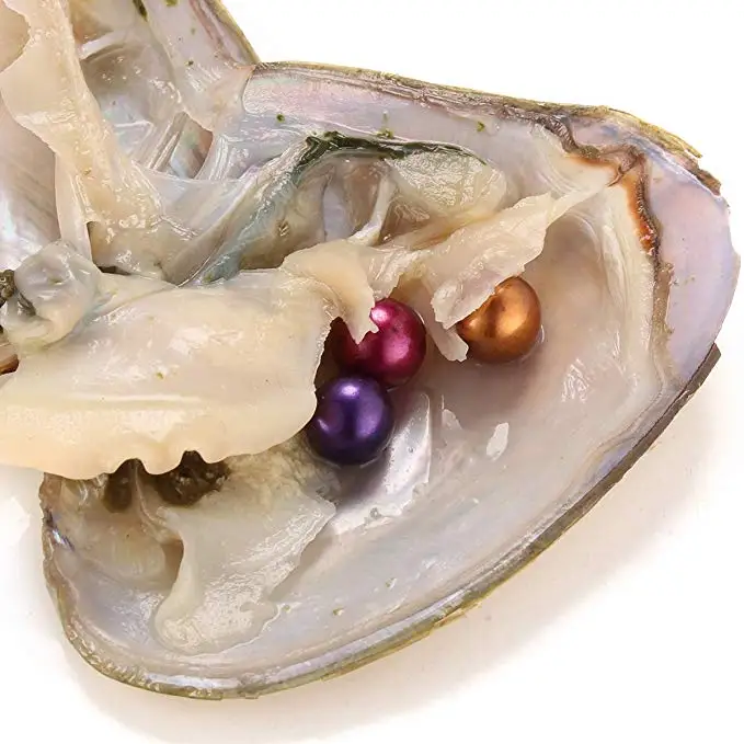 

HENGSHENG 20 Pieces Freshwater Oysters with Triplets Nearly Round Pearls Inside 6-8 mm Loose Pearls Oysters for Party Gifts Love