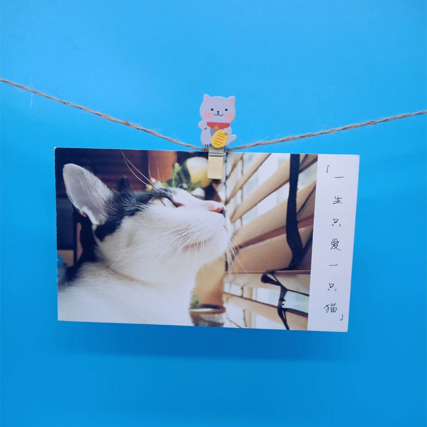 10 шт./лот Lucky Cat деревянные зажимы мини фотобумага ремесло зажим школьные