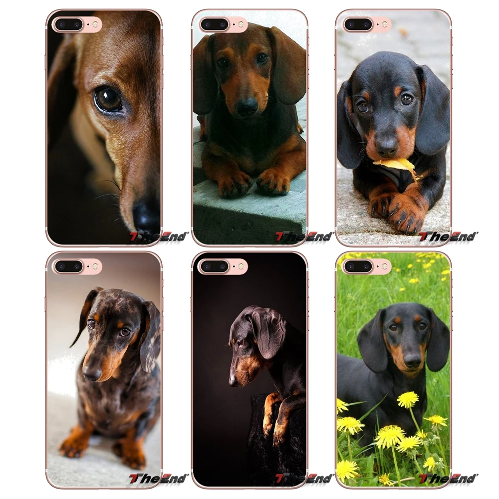 Силиконовый чехол для iPhone X 4 4S 5 5S 5C SE 6 6S 7 8 Plus Samsung Galaxy J1 J3 J5 J7 A3 A5 2016 2017 Dachshund Teckel Dackel