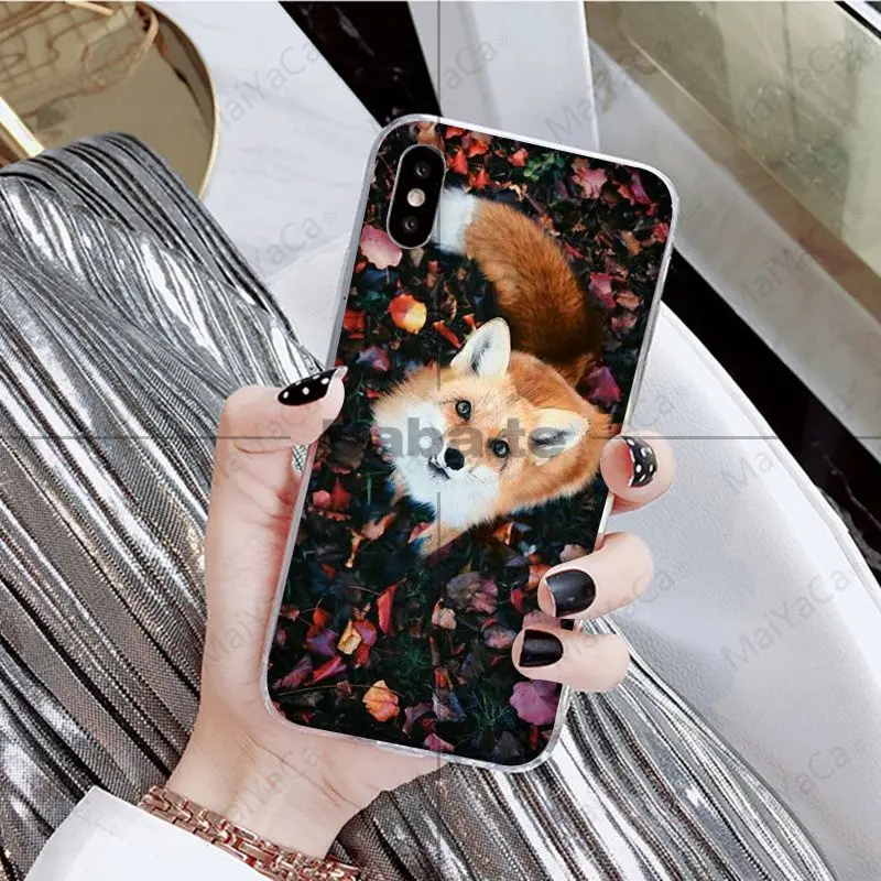 Babaite животное енот лиса красочные милые аксессуары для телефонов Чехол для iPhone X XS MAX 6 6S 7 7plus 8 8Plus 5 5S XR