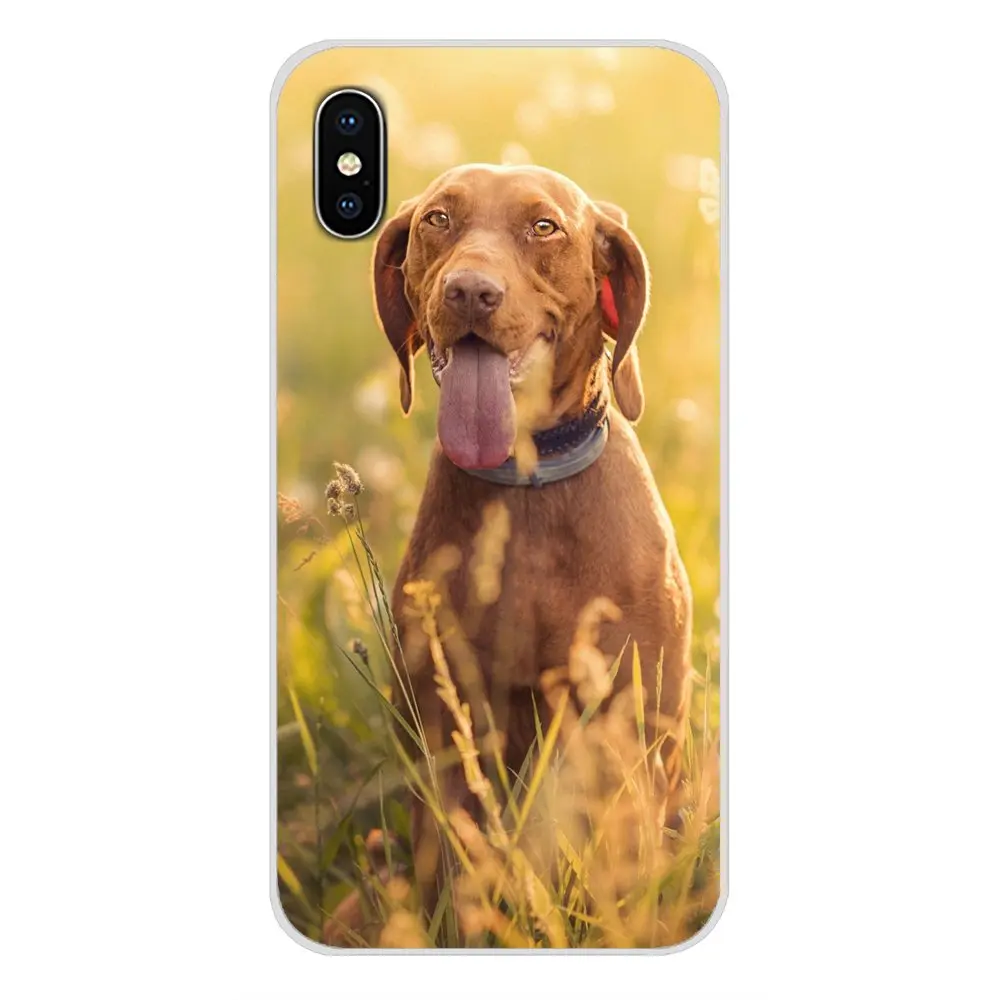 Accessories Phone Cases Covers For Xiaomi Mi4 Mi5 Mi5S Mi6 Mi A1 A2 5X 6X 8 9 Lite SE Pro Max Mix 2 3 2S Vizsla dog art | Мобильные