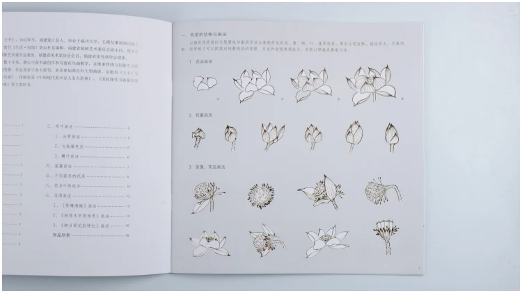 Книга для входа китайской живописи техники рисования свободными руками: Lotus 22