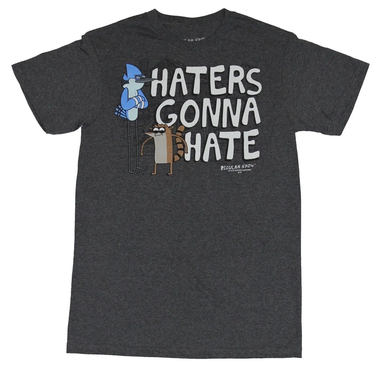 Регулярные шоу Мужская футболка-Haters goning Hate Mordecai &amp Rigby изображение мультфильм