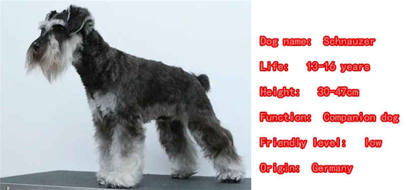 Новое милое ожерелье шнауцера подвеска в виде собаки посеребренное золото