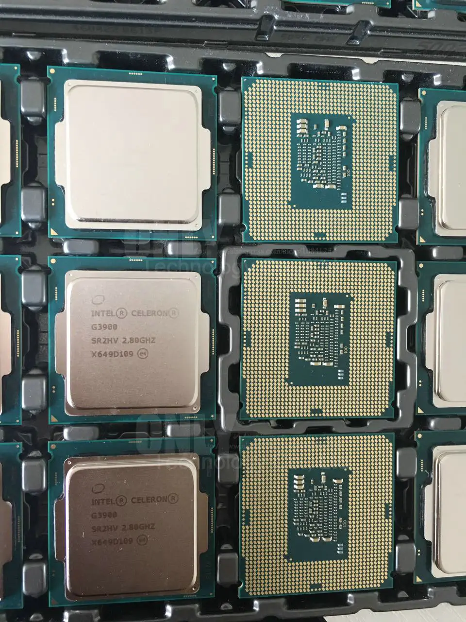 Intel(r) celeron(r) cpu g1840 @ 2. 80 ghz. Intel celeron g3900 lga1151, 2 x 2800 мгц. Intel r celeron r cpu g3900. Intel celeron g3900.