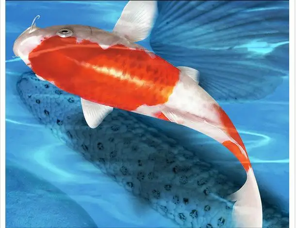Фотообои на заказ 3d напольные настенные ПВХ обои лотос карп каменные ракушки 3D