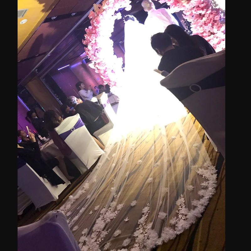 Кружевная кромка с блестками Роскошные Длинные Свадебные вуали расческой