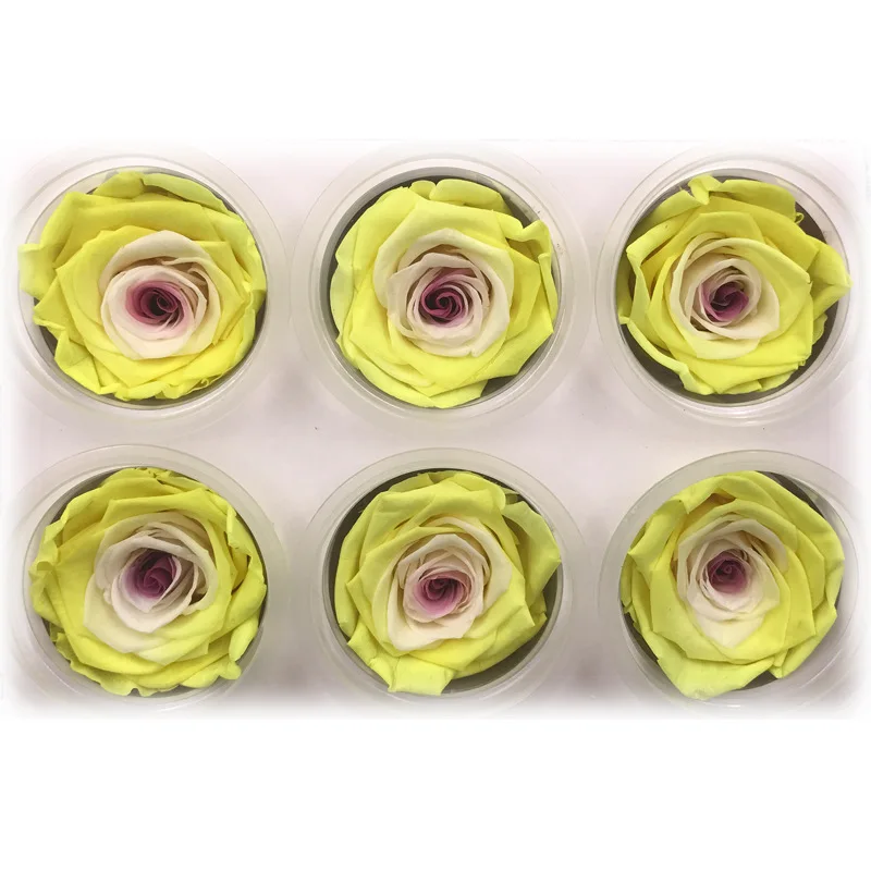 1 коробка, высокое качество, Красочные розы, цветок, Rose5-6CM, диаметр, цветок вечной жизни, материал, подарочная коробка - Цвет: 04