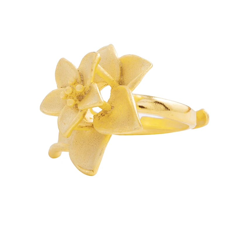 Кольцо Ethlyn регулируемое матовое золотое для женщин свадьбы ювелирных изделий в