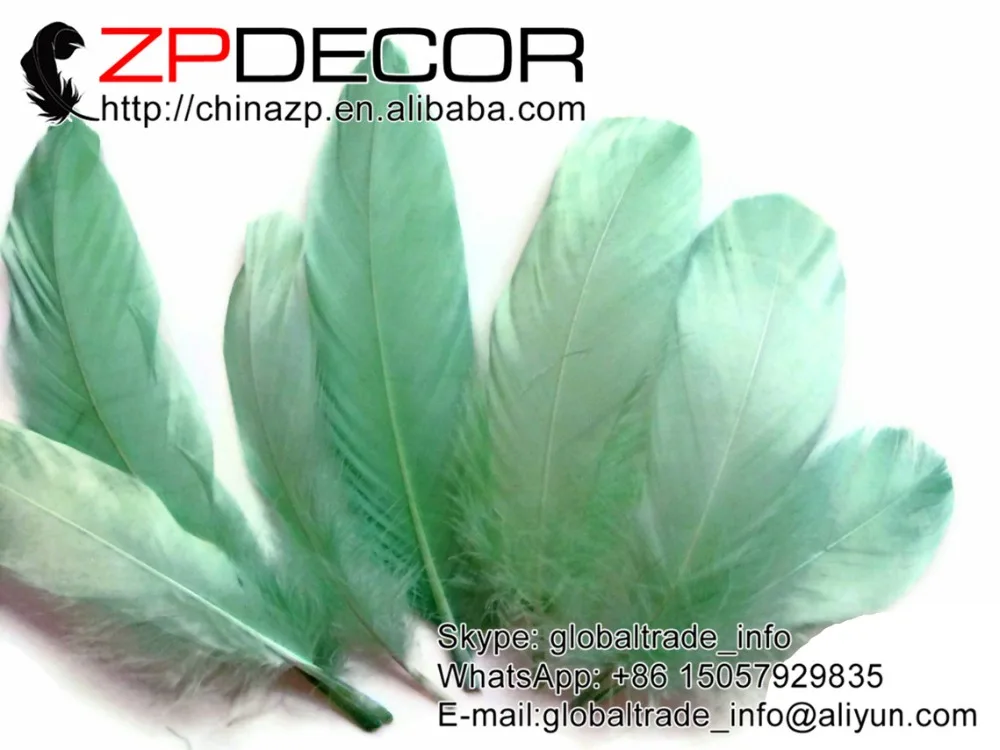 

ZPDECOR Feather Wholesale Original 200pcs/lot Fluffy Aqua Green Goose Nagoire Loose Feather for Sale