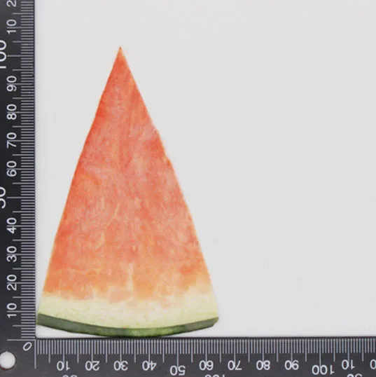 Watermelon 10 шт прессованный высушенный фруктовый ломтик гербарий из растений для ювелирных изделий открытка с пригласительным билетом чехол для телефона Закладка рукоделие Изготовление DIY - Цвет: Watermelon