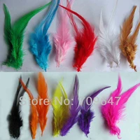 colour feather hot sale 200pcslot mixed color 5 6 12 15cm rooster saddle cape craft featherfeathers natural