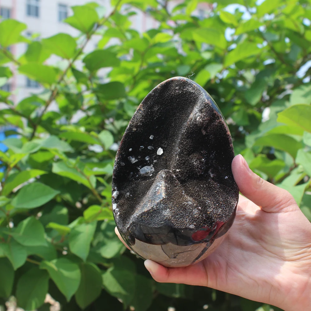 

1130g Natural curvature of the furnishing articles Turtle grain stone egg Ball Septarian nodule Crystal Healing quartz