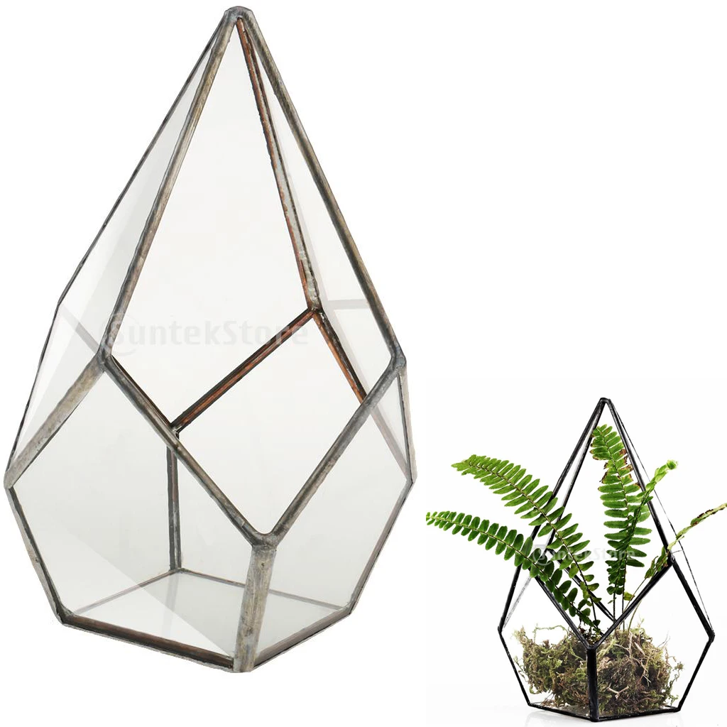 

2 Pieces Glass Geometric Terrarium Boxes Tabletop Succulent Plants Planter