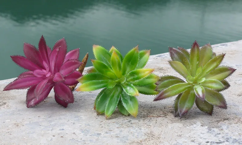 3 шт./лот Главная Сад Украшения Поддельные Сочные Растения Пластиковые Среднего